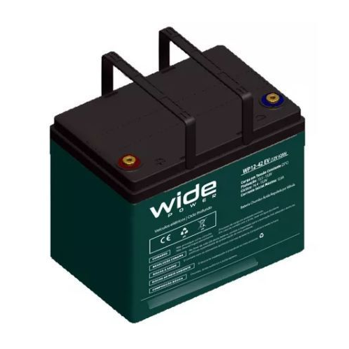 Bateria 12V 42AH VRLA EV DE CICLO PROFUNDO